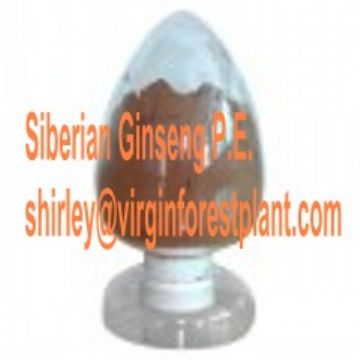 Siberian Ginseng P.E.(Shirley At Virginforestplant Dot Com)